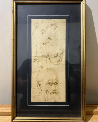 Riproduz Andrea Del Sarto 1486–1530 Studi di teste