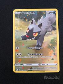 Poochyena GG33/GG70 - Zenit Regale