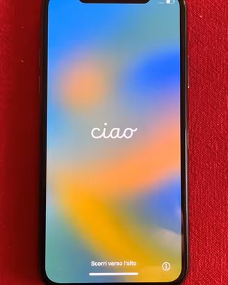 iPhone X - 256 GB