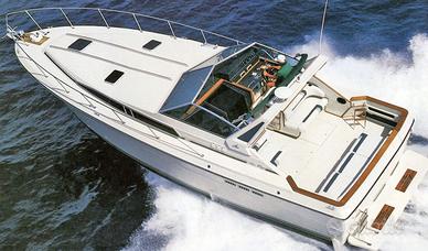 Sea Ray 390