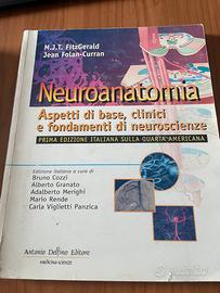 Neuroanatomia