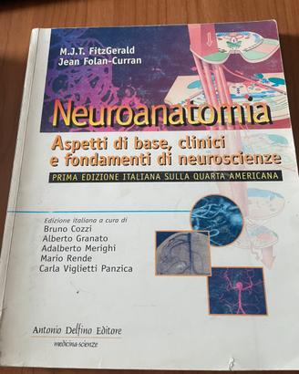 Neuroanatomia