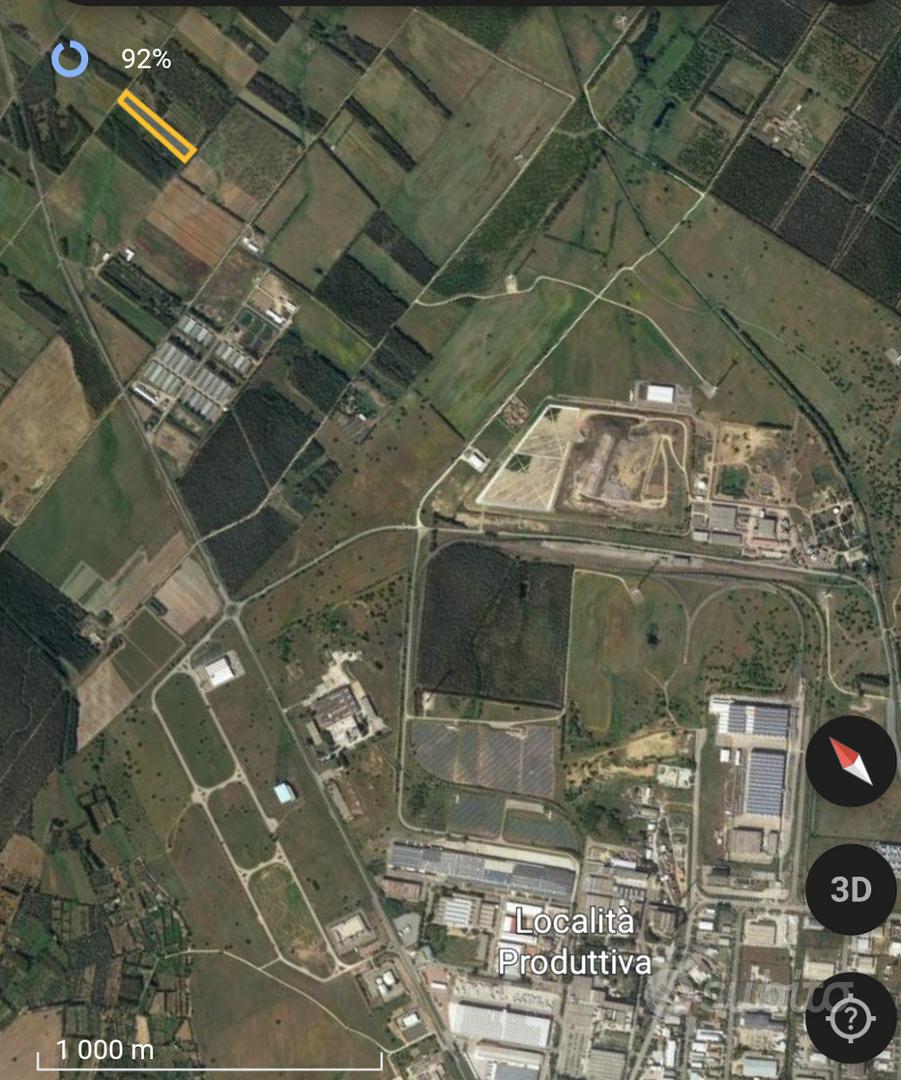 Terreno agricolo con boschetto di eucalipto - View 2