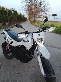 Honda dominator 