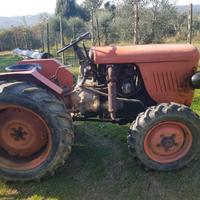 Sametto 120 raccolta olive