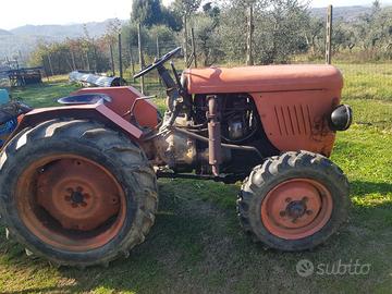 Sametto 120 raccolta olive