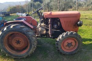 Sametto 120 raccolta olive