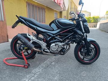 Suzuki gladius 650 anno 2013