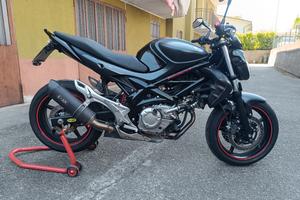 Suzuki gladius 650 anno 2013