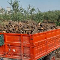 Legna Da Ardere Di Ulivo per Camino, Forno e Stufa