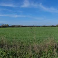 Terreno agricolo irriguo