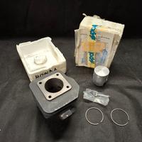 Gruppo termico Polini 119.0036 per Honda Dio