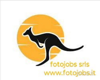 Web designer Realizzazione siti web