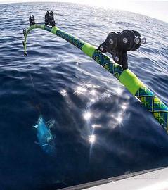Charter uscite in barca liguria