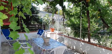 San Vito-villetta 4 pers.+cani/gatti-Ristrutturata