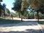 Immagine 7