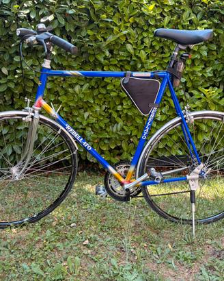Bicicletta sportiva