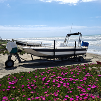 Molinari 6.30 con carrello motorizzato x spiaggia