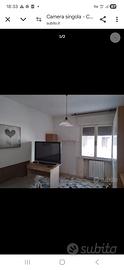 Camera singola in zona Buonarroti( Padova)