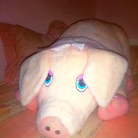 Peluche gigante 