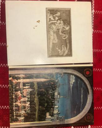 Libro il biellese dal medioevo all’ottocento