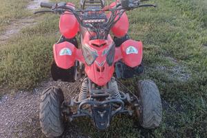 Quad cc 100