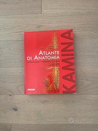 Atlante di Anatomia