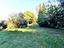 Immagine 9
