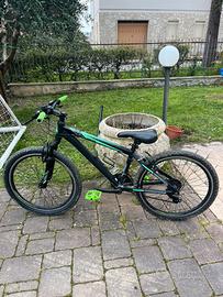 Bici mtb kuster 24
