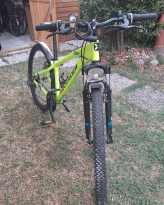 mtb ragazzo o ragazza 