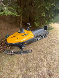 Motoslitta Ski-doo rotax 503