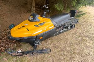 Motoslitta Ski-doo rotax 503