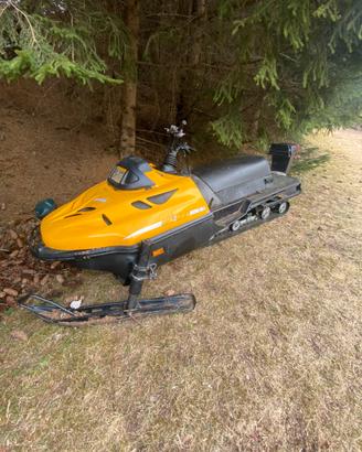 Motoslitta Ski-doo rotax 503