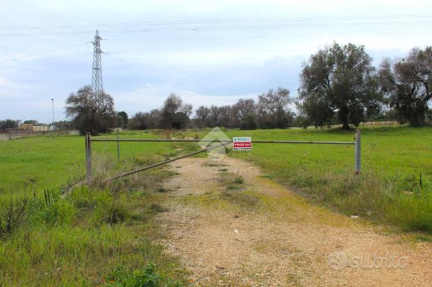 TER. AGRICOLO A CAROVIGNO