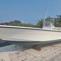 Barca open 6.20 Fiart Valiant Evinrude 150