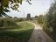 Immagine 12