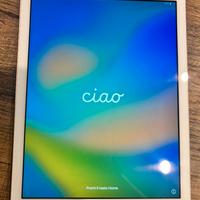 iPad (sesta generazione)