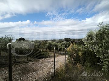 Terreno Agricolo Follonica [026/038VCG]