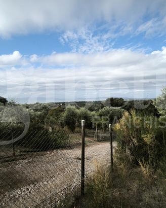Terreno Agricolo Follonica [026/038VCG]