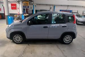 panda 3 serie
