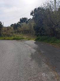 Terreno Agricolo - Gabbro (Rosignano Marit