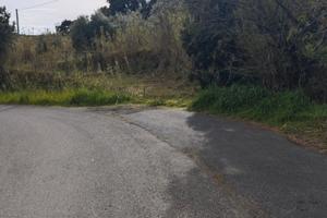 Terreno Agricolo - Gabbro (Rosignano Marit