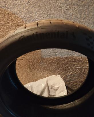 sport contact 7 