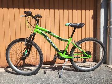 Bicicletta ragazzo