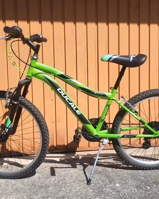 Bicicletta ragazzo