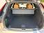 Immagine 9