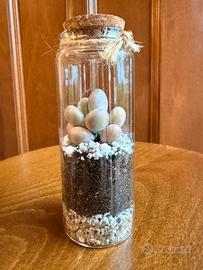 Terrarium con pianta grassa – decorazione in vetro
