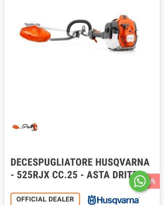 Decespugliatore