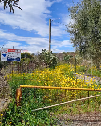 Terreno - Paternò