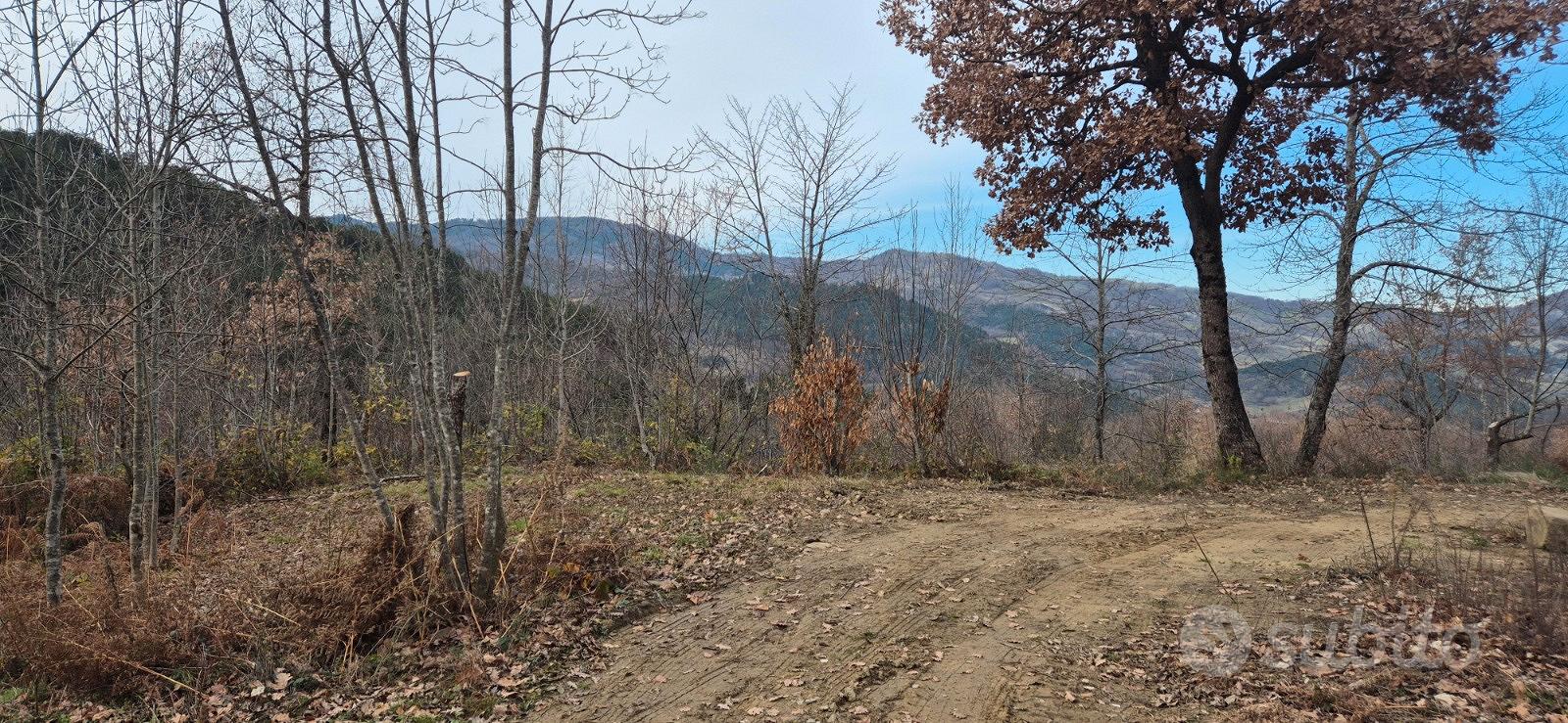 Terreno, bosco - Vista 4